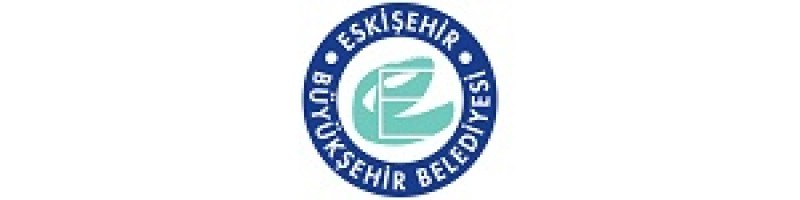 Büyük Şehir Belediyesi